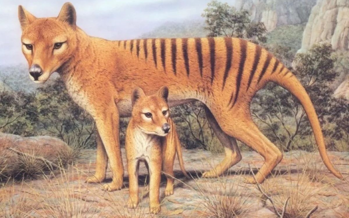 7 September in Australian History