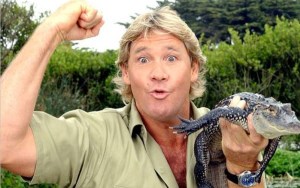 Steve Irwin