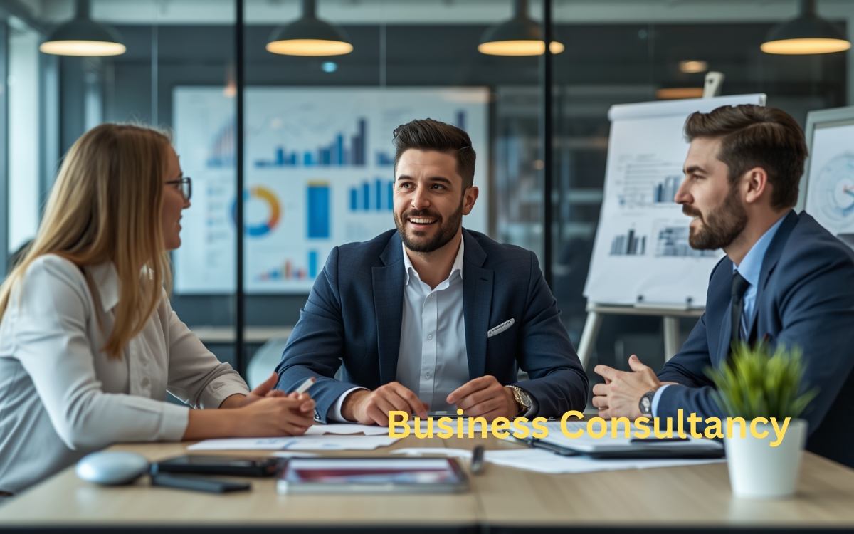 Business Consultancy